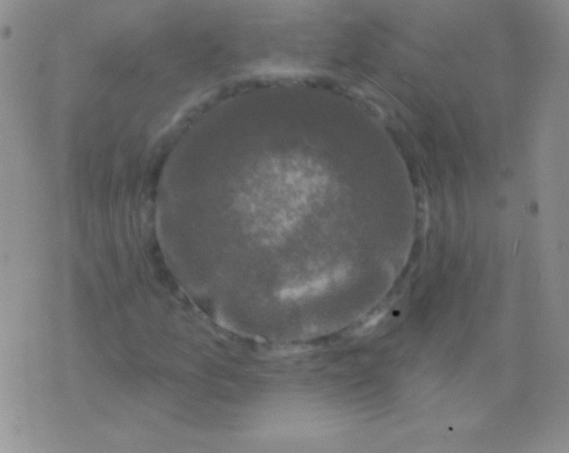 X0000075901157200610062110