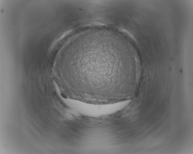 X0000075901159200610062110