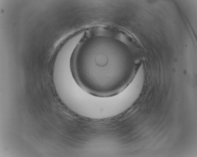 X0000075901160200610062110