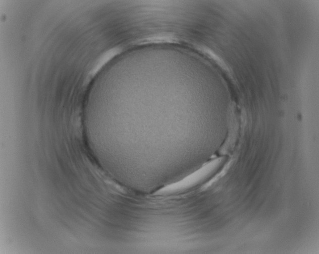 X0000075901162200610062110