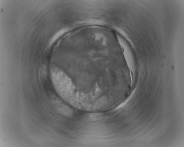 X0000075901163200610062110