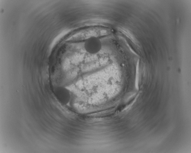 X0000075901164200610062110