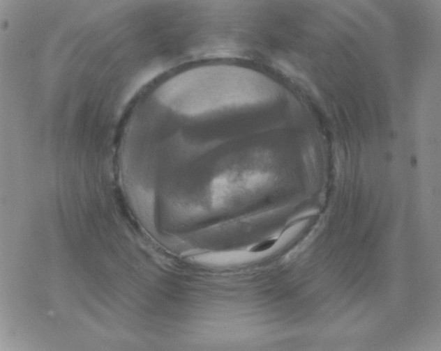 X0000075901166200610062110