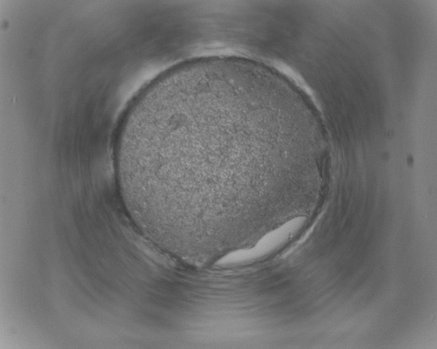 X0000075901167200610062110