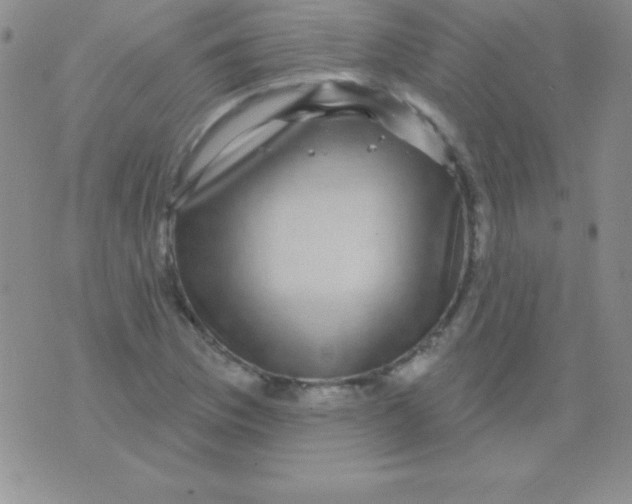 X0000075901169200610062110