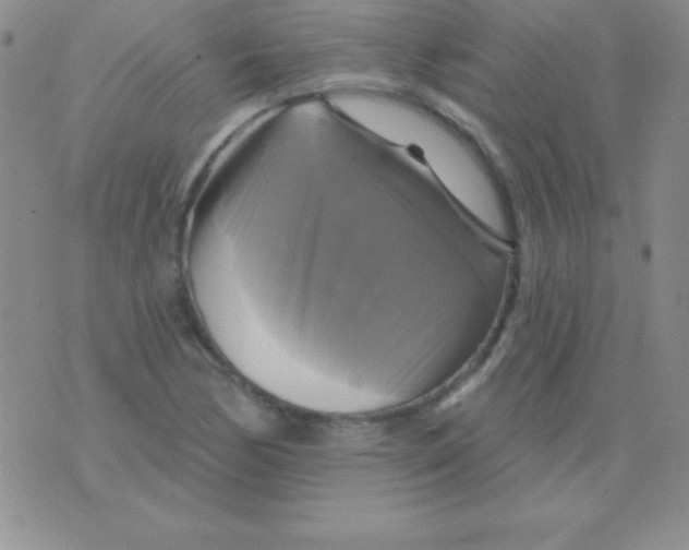 X0000075901170200610062110