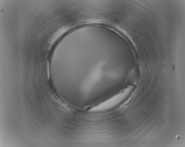 X0000075901171200610062110