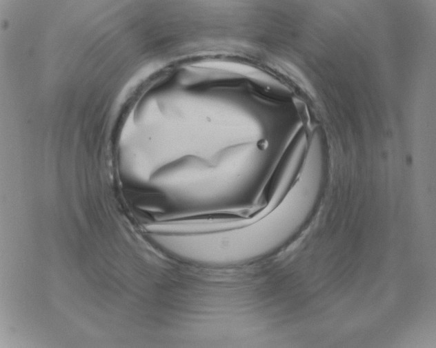 X0000075901172200610062110