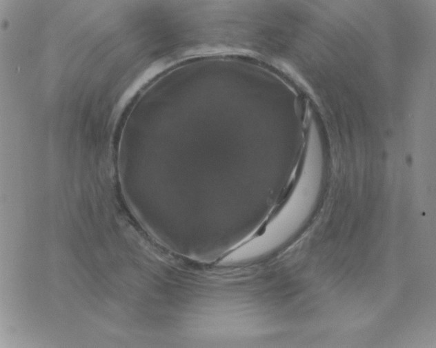 X0000075901173200610062110