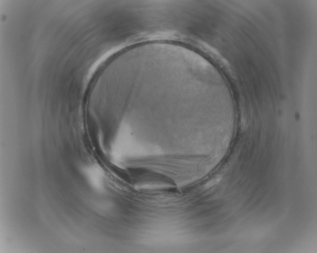 X0000075901174200610062110