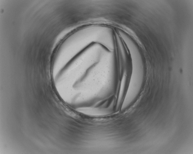 X0000075901176200610062110