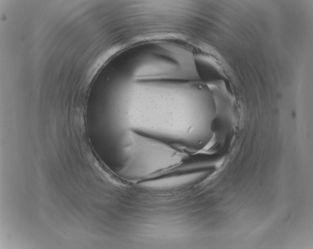 X0000075901177200610062110