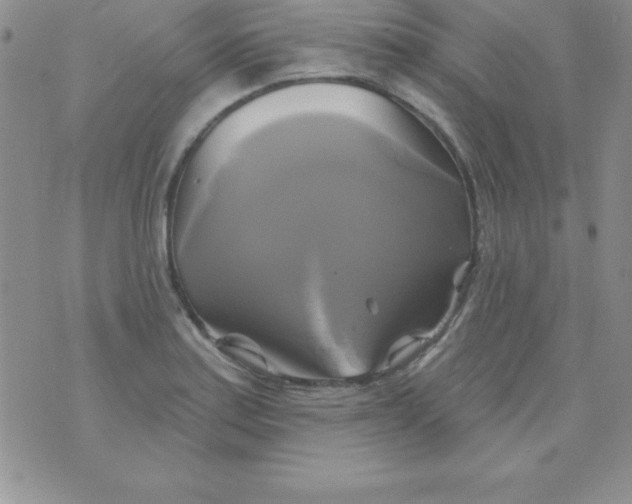 X0000075901179200610062110