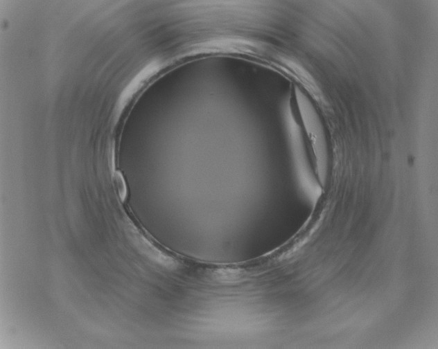 X0000075901180200610062110