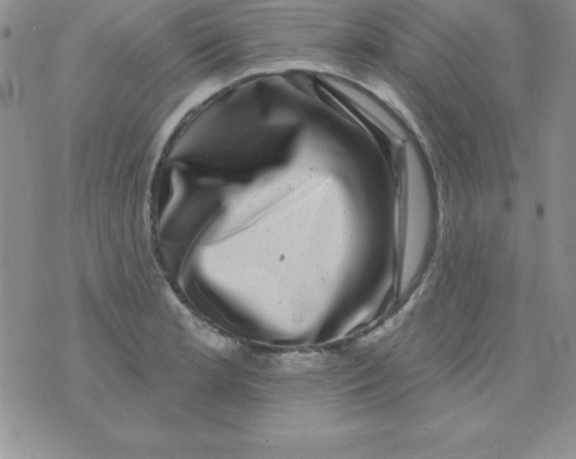 X0000075901181200610062110