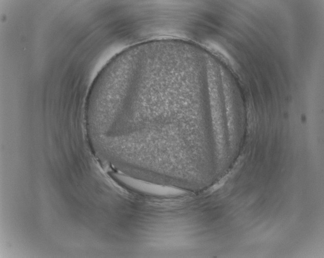 X0000075901182200610062110