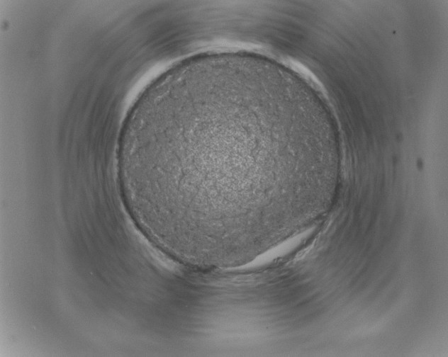 X0000075901183200610062110