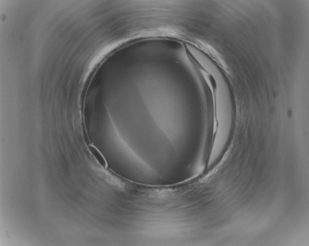 X0000075901184200610062110