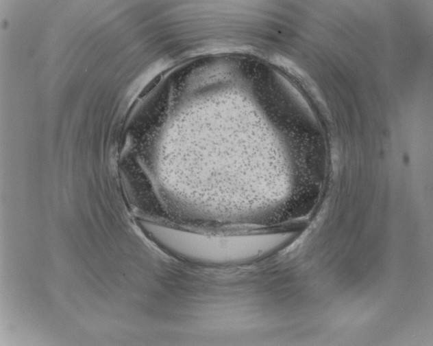 X0000075901185200610062110