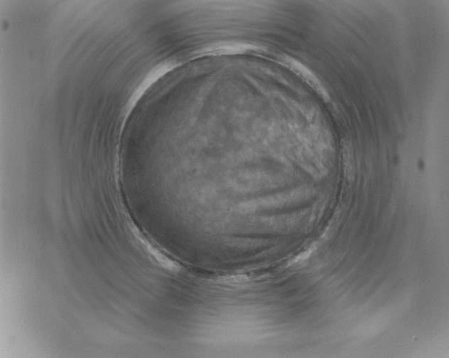 X0000075901186200610062110