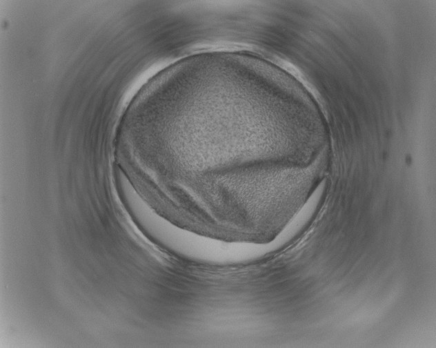 X0000075901187200610062110