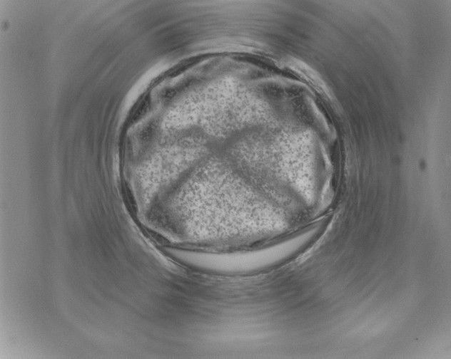 X0000075901188200610062110