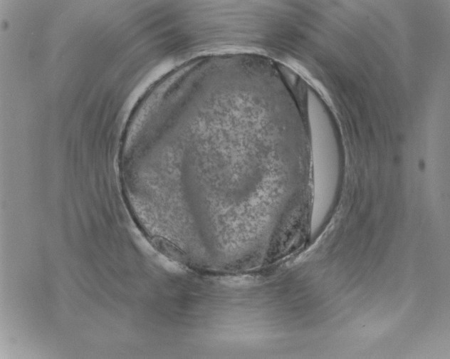 X0000075901189200610062110