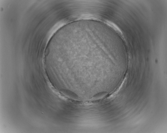 X0000075901190200610062110