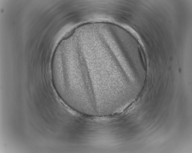 X0000075901191200610062110