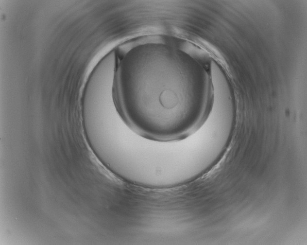 X0000075901192200610062110