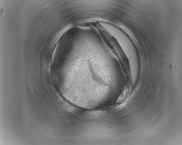 X0000075901193200610062110