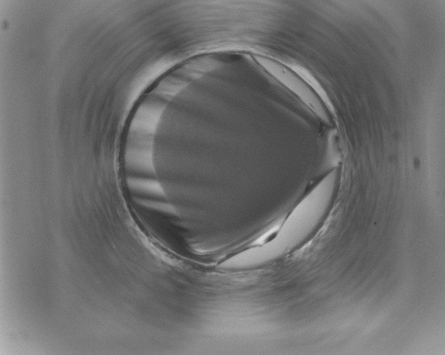 X0000075901197200610062110