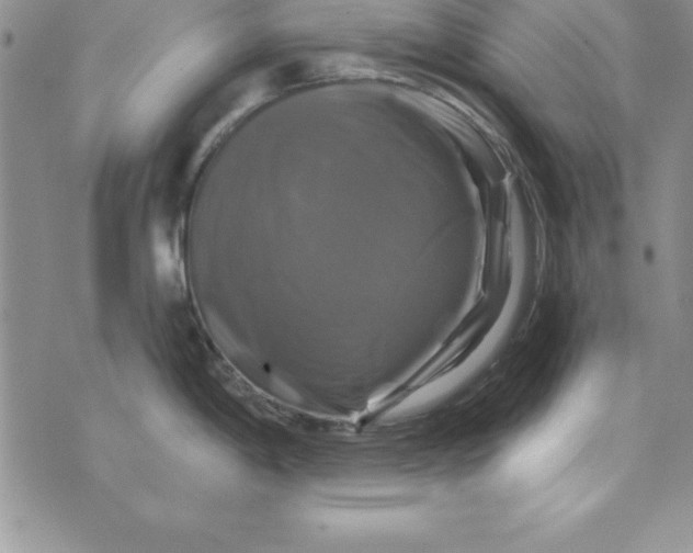 X0000075901198200610062110