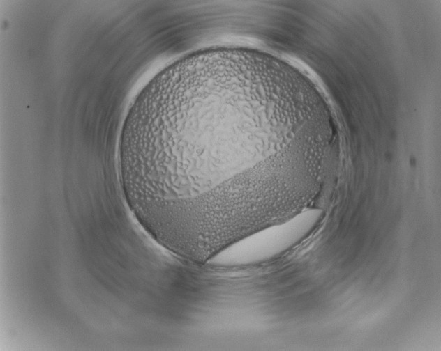 X0000075901199200610062110