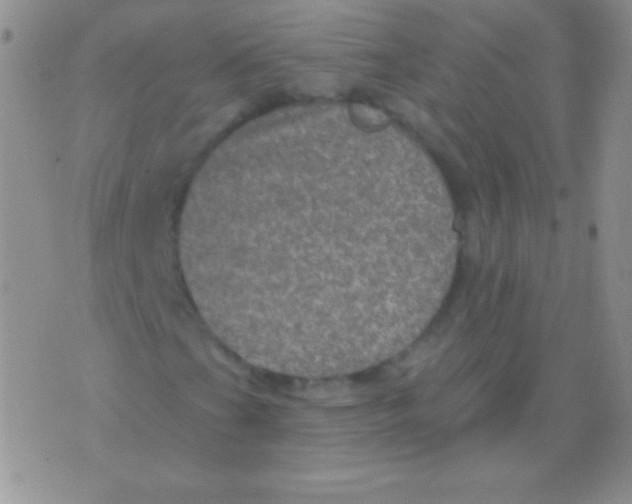 X0000075901201200610062109