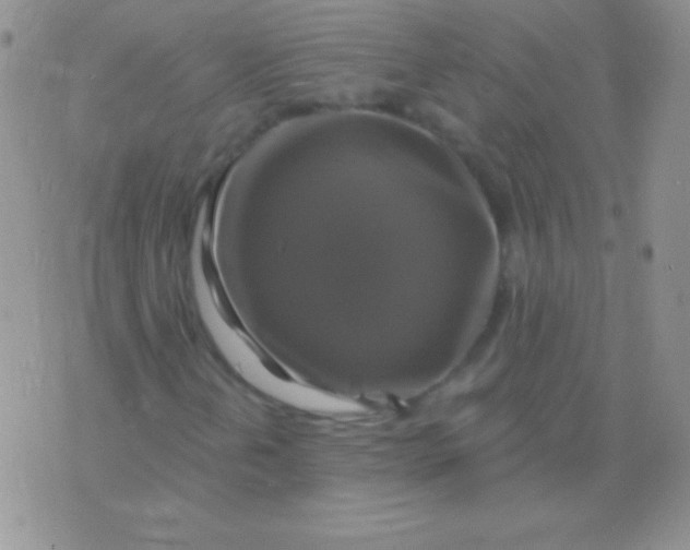 X0000075901202200610062109