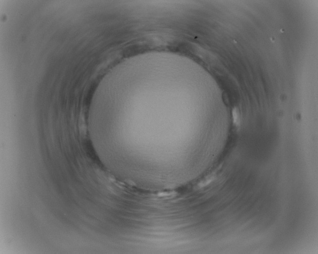 X0000075901203200610062109