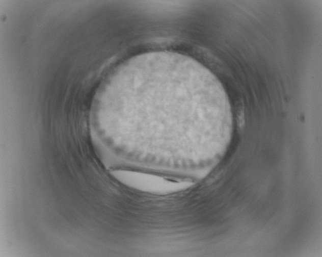 X0000075901204200610062109