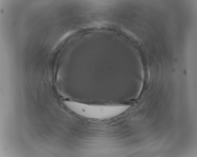 X0000075901206200610062109