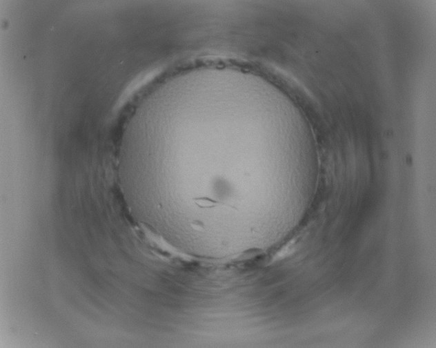 X0000075901207200610062109