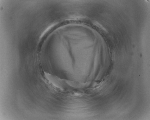 X0000075901208200610062109