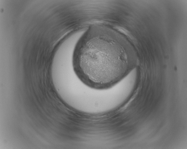 X0000075901209200610062109