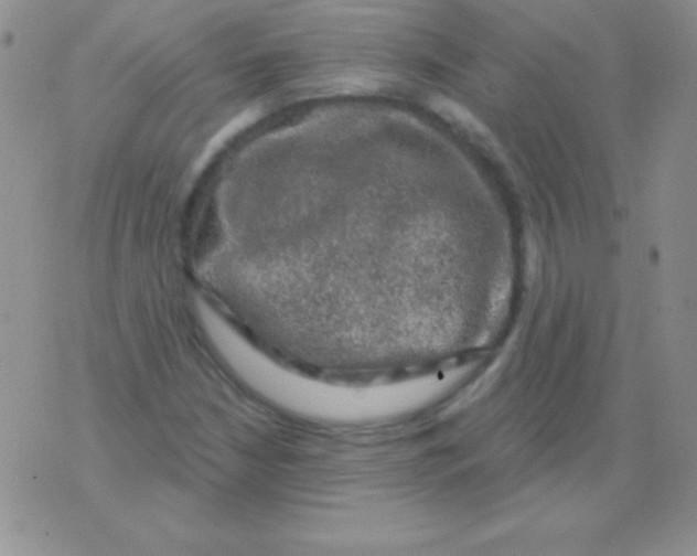 X0000075901210200610062109