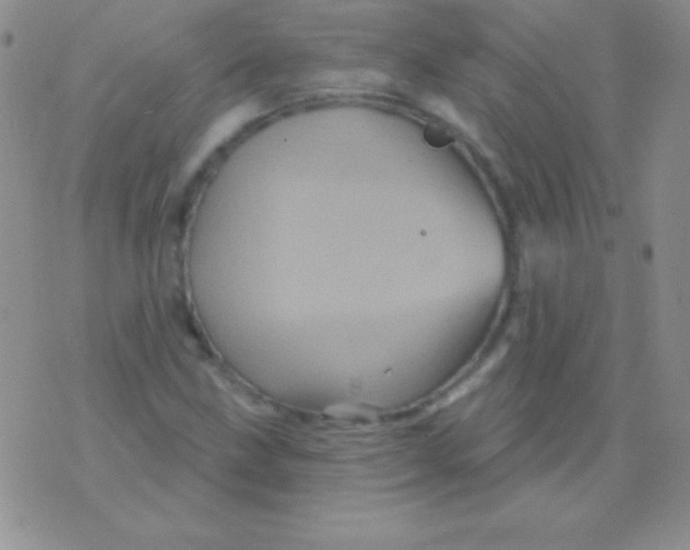 X0000075901211200610062109