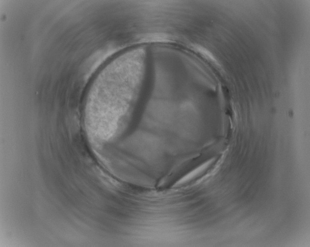 X0000075901212200610062109