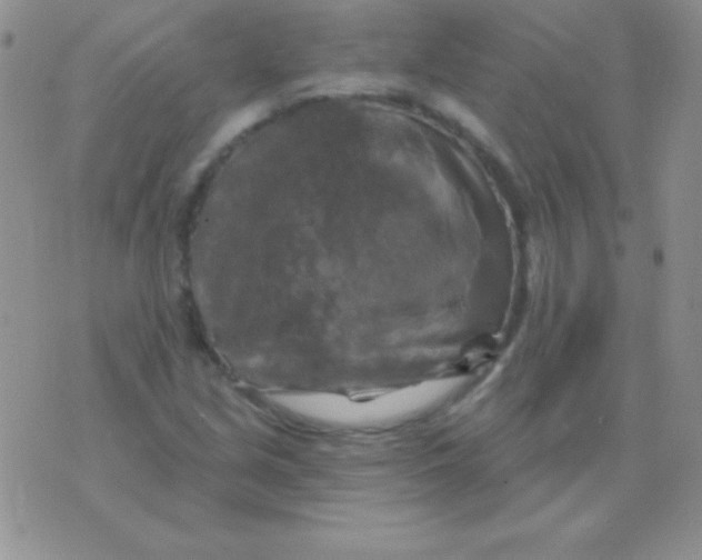 X0000075901213200610062109