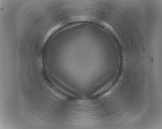 X0000075901218200610062109