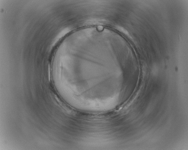 X0000075901219200610062109