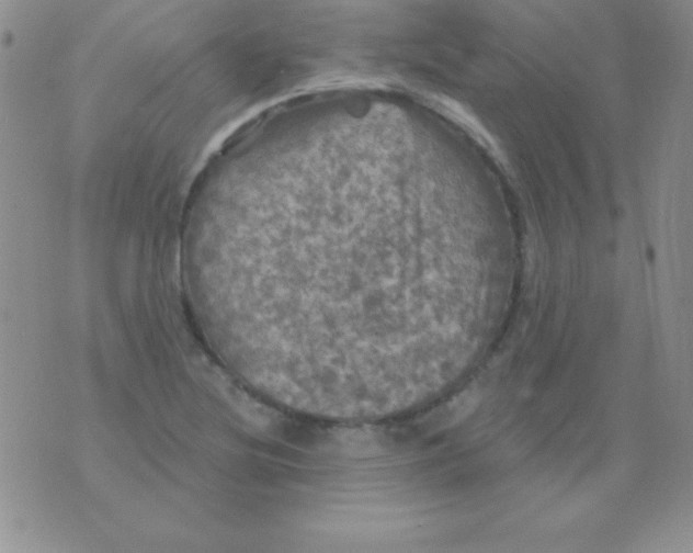 X0000075901220200610062109