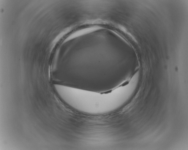 X0000075901221200610062109